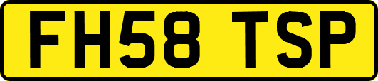 FH58TSP
