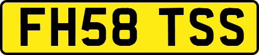 FH58TSS