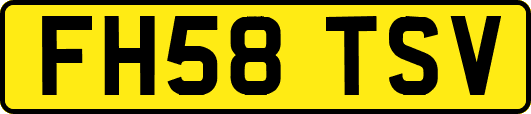 FH58TSV