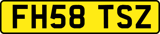 FH58TSZ