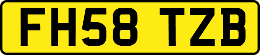 FH58TZB