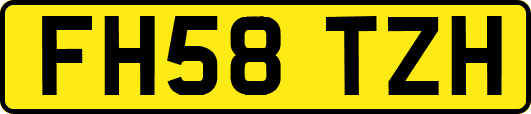 FH58TZH