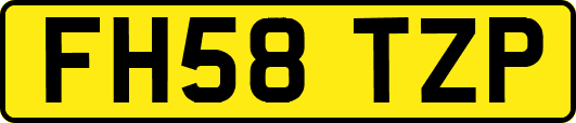 FH58TZP