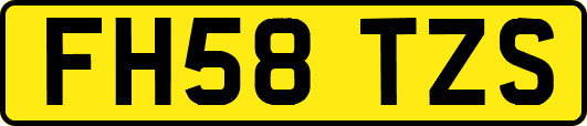 FH58TZS