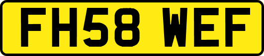 FH58WEF