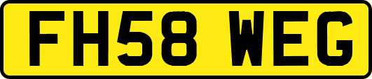 FH58WEG