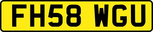 FH58WGU