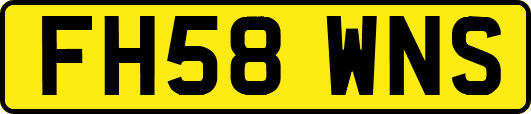FH58WNS