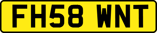 FH58WNT