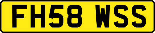 FH58WSS