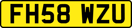 FH58WZU