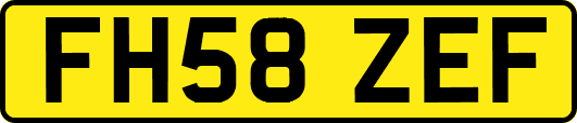 FH58ZEF