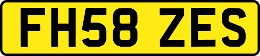 FH58ZES