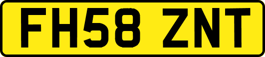 FH58ZNT