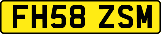 FH58ZSM
