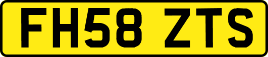 FH58ZTS