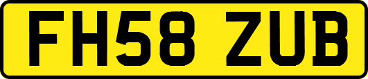FH58ZUB