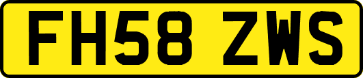 FH58ZWS