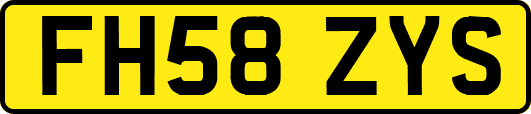 FH58ZYS