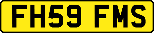 FH59FMS