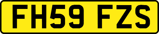 FH59FZS