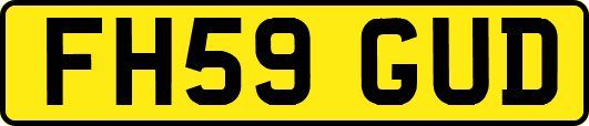 FH59GUD