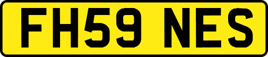 FH59NES