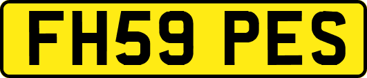 FH59PES
