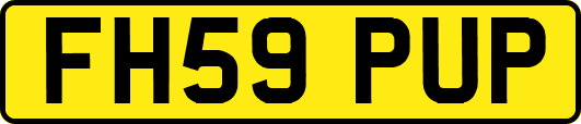 FH59PUP