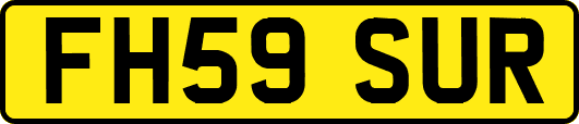 FH59SUR