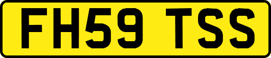 FH59TSS
