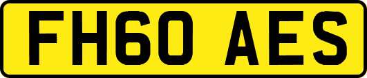FH60AES