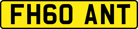 FH60ANT