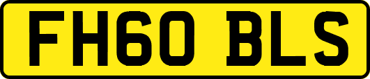 FH60BLS