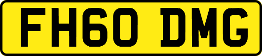 FH60DMG