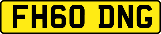 FH60DNG