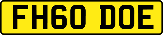 FH60DOE