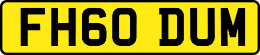 FH60DUM