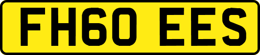 FH60EES