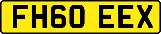 FH60EEX