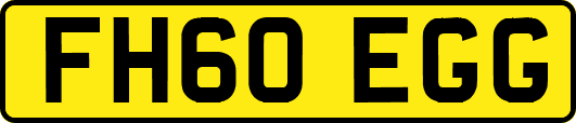 FH60EGG