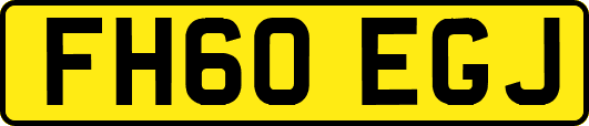FH60EGJ