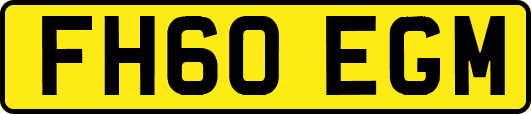 FH60EGM
