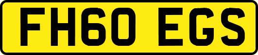FH60EGS