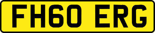 FH60ERG
