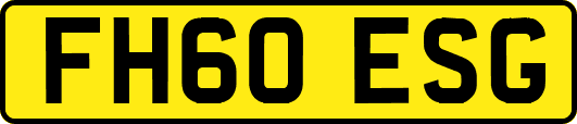 FH60ESG