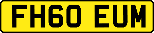 FH60EUM