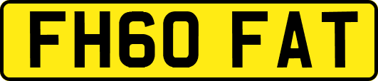 FH60FAT