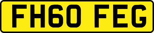 FH60FEG