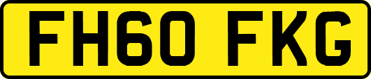 FH60FKG